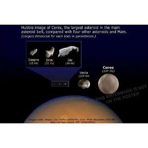  Asteroid Size Comparison   24x36 Poster 