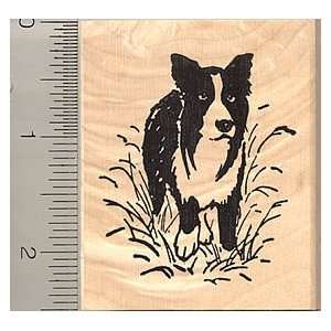  Border Collie Rubber Stamp   Wood Mounted Arts, Crafts 