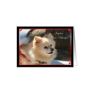  Joueuse Saint Valentin Pomeranian Card Health & Personal 