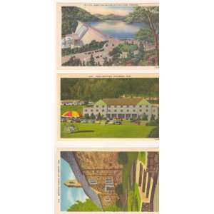  3 Vintage postcards, Lot #101208.2, from Tennessee $5.99 