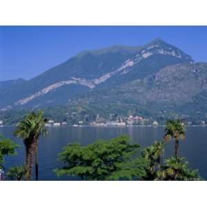  Cadenabbia, Lago Di Como (Lake Como), Lombardia (Lombardy 