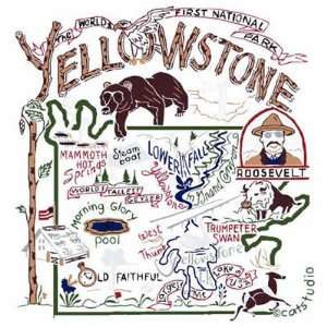  Catstudio Yellowstone Glasses