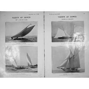  1905 Yachts Cowes 24 Footers Iveagh Schooner Cetonia