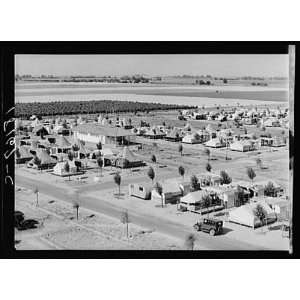  FSA Camp,Shafter,Kern County,CA,California,1937