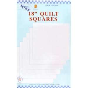  10905 NT Blank 18 Inch Quilt Squres 732 000 Arts, Crafts 