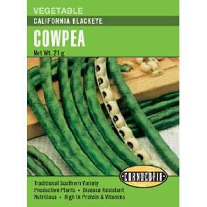 Cowpea California Blackeye Seeds Patio, Lawn & Garden