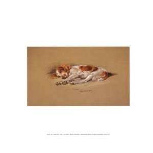  Judy a Spaniel Puppy by Mac 13x12 