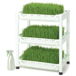  Sproutmans Soil Free Wheatgrass Grower Patio, Lawn 