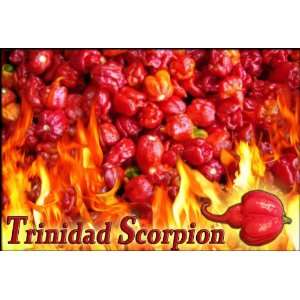  Trinidad Moruga Scorpion   10 Quality Seeds   The Hottest 