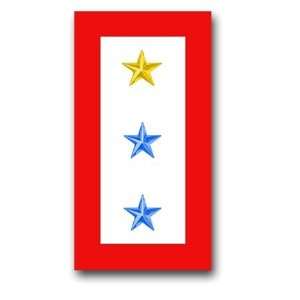  United States Army  One Gold Star and Two Blue Stars  Service 