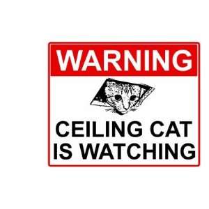  Ceiling Cat Sign Mug