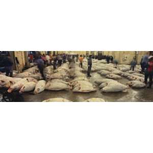  People in a Fish Market, Tokyo Prefecture, Japan Giclee 