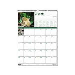  House Of Doolittle 3662 Kittens Monthly Wall Calendar, 12 