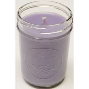  Homemade 2 Pack 8oz Mason Jar Soy Candle   Violet Lime 