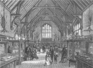 WILTS The Blackmore Museum, Salisbury, old print, 1867  