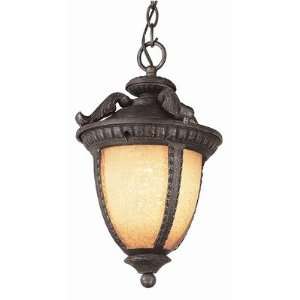  TransGlobe Lighting 5273 BS / 5275 BS Exterior Hanging 