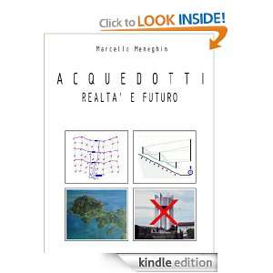 Acquedotti, realtà e futuro (Italian Edition) Marcello Meneghin 