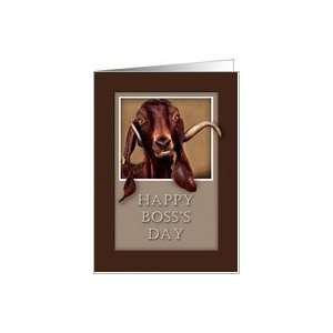  Happy Boss`s Day, Goat in Window Card Health & Personal 