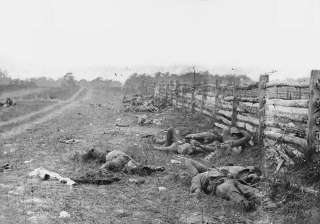 Dead soldiers lie where they fell at Antietam , the bloodiest day in 