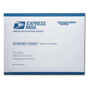  USPS Express Mail Flat Rate Envelope 12 1/2 x 9 1/2 