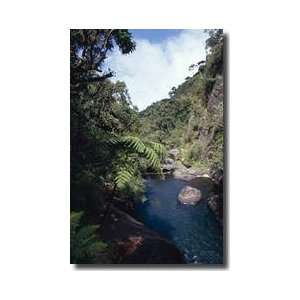  River Horton Plains National Park Sri Lanka Giclee Print 