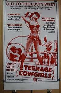 1973 TEENAGE COWGIRLS Orig 27 x 41 Movie Poster JOHN HOLMES AMANDA 