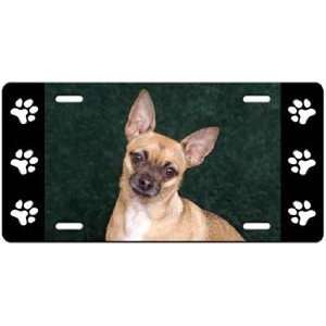  Chihuahua License Plate