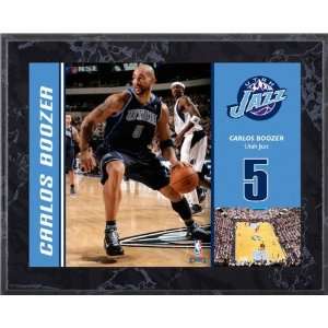  Carlos Boozer Utah Jazz 8x10 Marble Color Player Plaque 