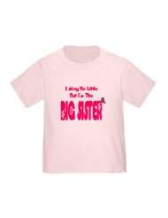 Butterfly Im The Big Sister Toddler Tee Unique Toddler T Shirt by 