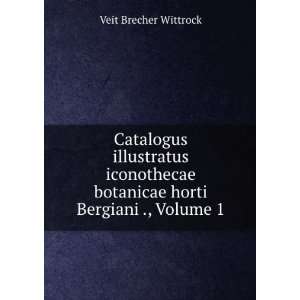   Adjectis, Volume 1 (Swedish Edition) Veit Brecher Wittrock Books