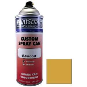   Paint for 2008 Winnebago All Models (color code P7441) and Clearcoat