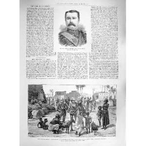  1885 MAJOR BROPHY NILE WAR CAMEL CORPS DONGOLA MAGREKAH 