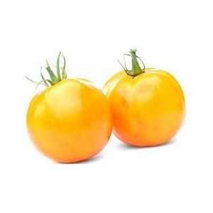  Heirloom Tomato Seeds   Jubilee Golden Tomatoes Patio 