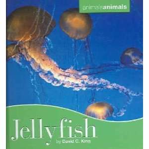  Jellyfish David C. King Books