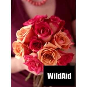 WildAid Assorted Roses  Grocery & Gourmet Food