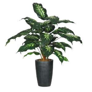  Artificial 2.5 Dieffenbachia in Round Green Fiberglass 