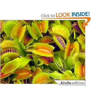 Your New Venus Fly Trap. Paul Shaw  Kindle Store