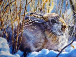 Rookies Wolf Rabbit Vivi Crandall Signed Wildlife Art  