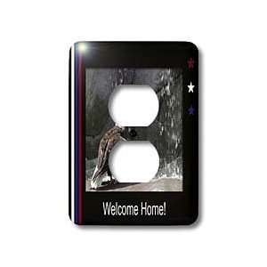 Beverly Turner Welcome Home Design   Welcome Home, Eagle by Waterfall 