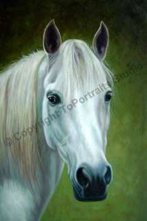 White Horse Portrait   Original Canvas Art Oil Painting  
