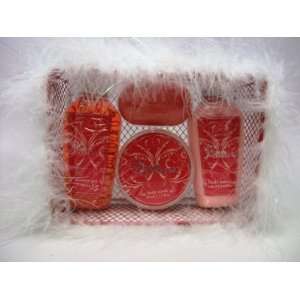 Womans Bath And Body Gift Set, Warm Cranberry Scent, Includes Shower 