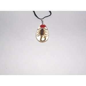  Clear Real Insect necklace   Golden Scorpion with Lucky Red 