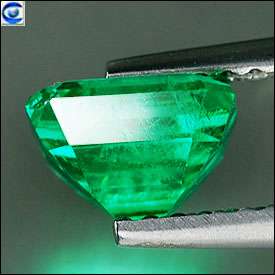 16ct  Ultra Hot Natural  Octagon Step  Green Columbian Emerald 