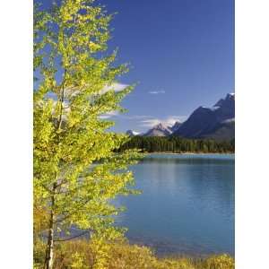 Waterfowl Lake, Banff National Park, UNESCO World Heritage Site, Rocky 
