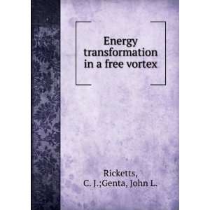  Energy transformation in a free vortex C. J.;Genta, John 