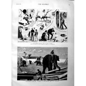  1883 ELEPHANTS TIMBER MOULMEIN BRITISH BURMAH WAR PAINT 
