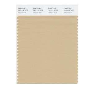   SMART 14 1116X Color Swatch Card, Almond Buff