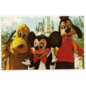  Walt Disney World Magic Kingdom 3x5 Postcard 01110236 