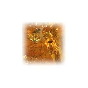  Amber Pure Indian Attar Oil 