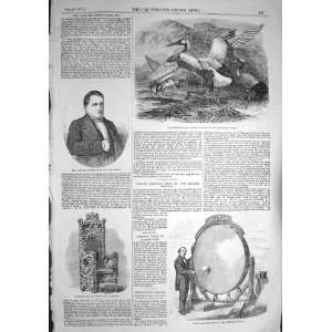  1857 ROBERT HALL MANTCHOURI CRANES DISTIN HANDEL CHAIR 